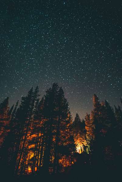 The stars at night at this campground.